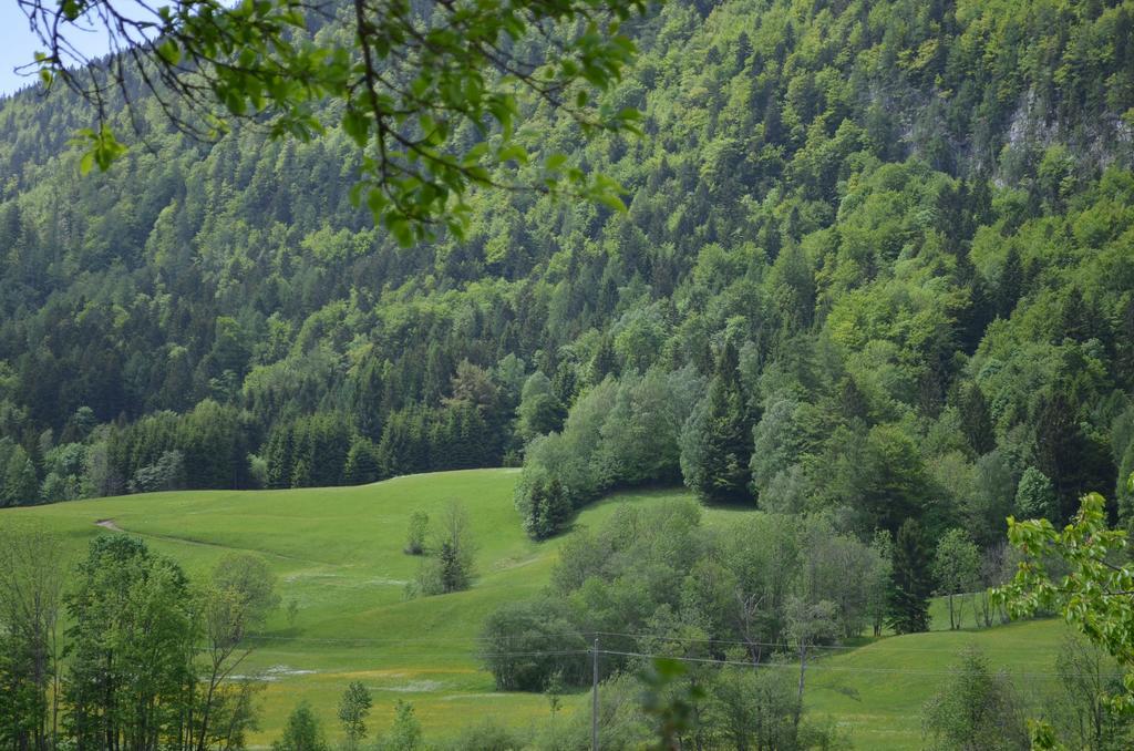 Bauernhof Konig Villa Anger  Eksteriør billede