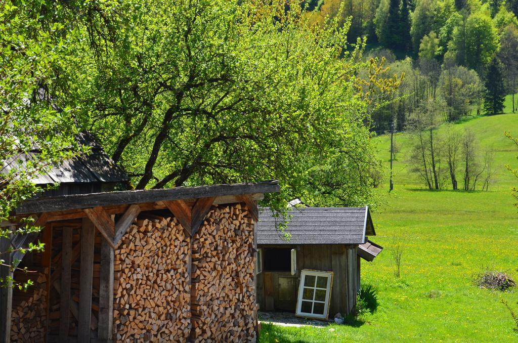 Bauernhof Konig Villa Anger  Eksteriør billede